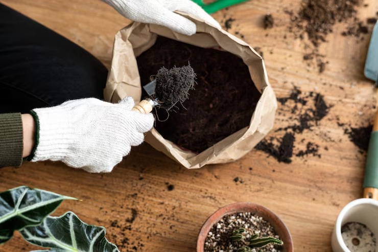 Wat is de beste grond voor een buiten plantenbak?
